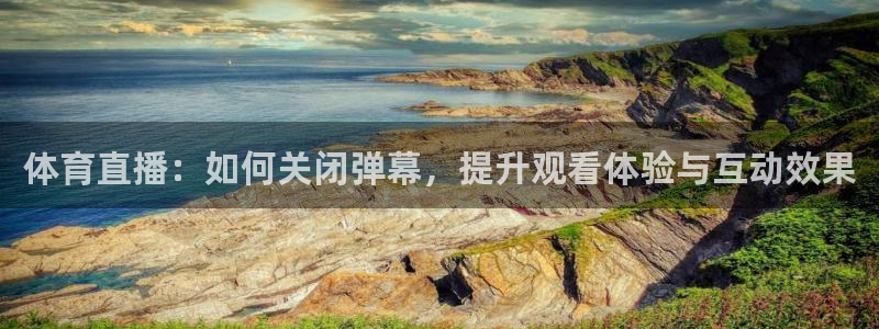 河豚体育nba直播在线观看：体育直播：如何关闭弹幕，提升观看体验与互动效果