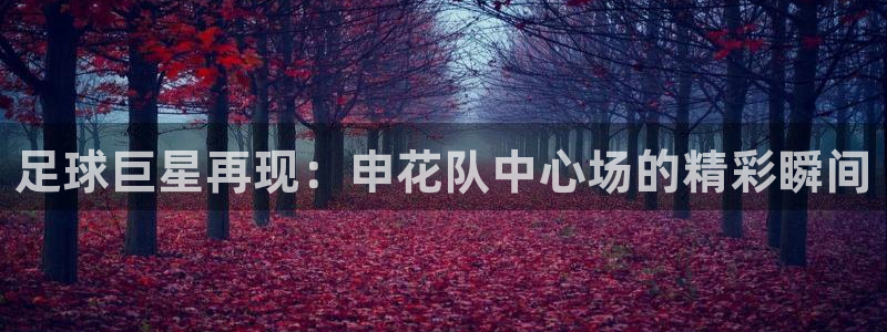 河豚直播nba免费观看：足球巨星再现：申花队中心场的精彩瞬间
