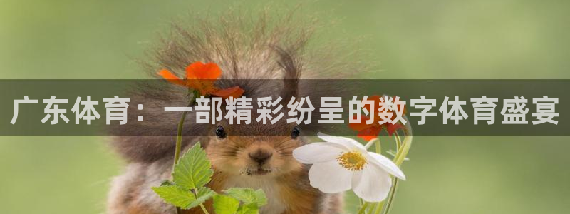 河豚体育直播免费观看：广东体育：一部精彩纷呈的数字体育盛宴